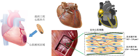 微信图片_20241008134412.png