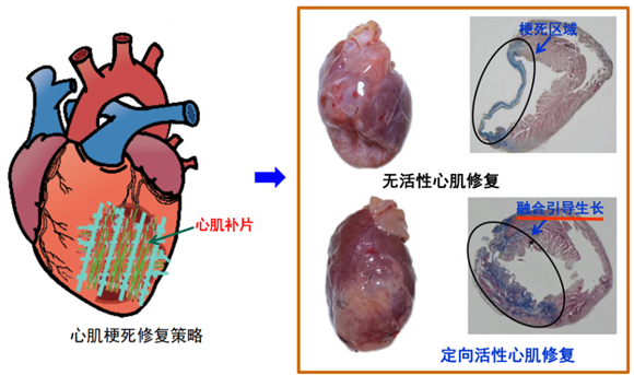 微信图片_20241008134414.png